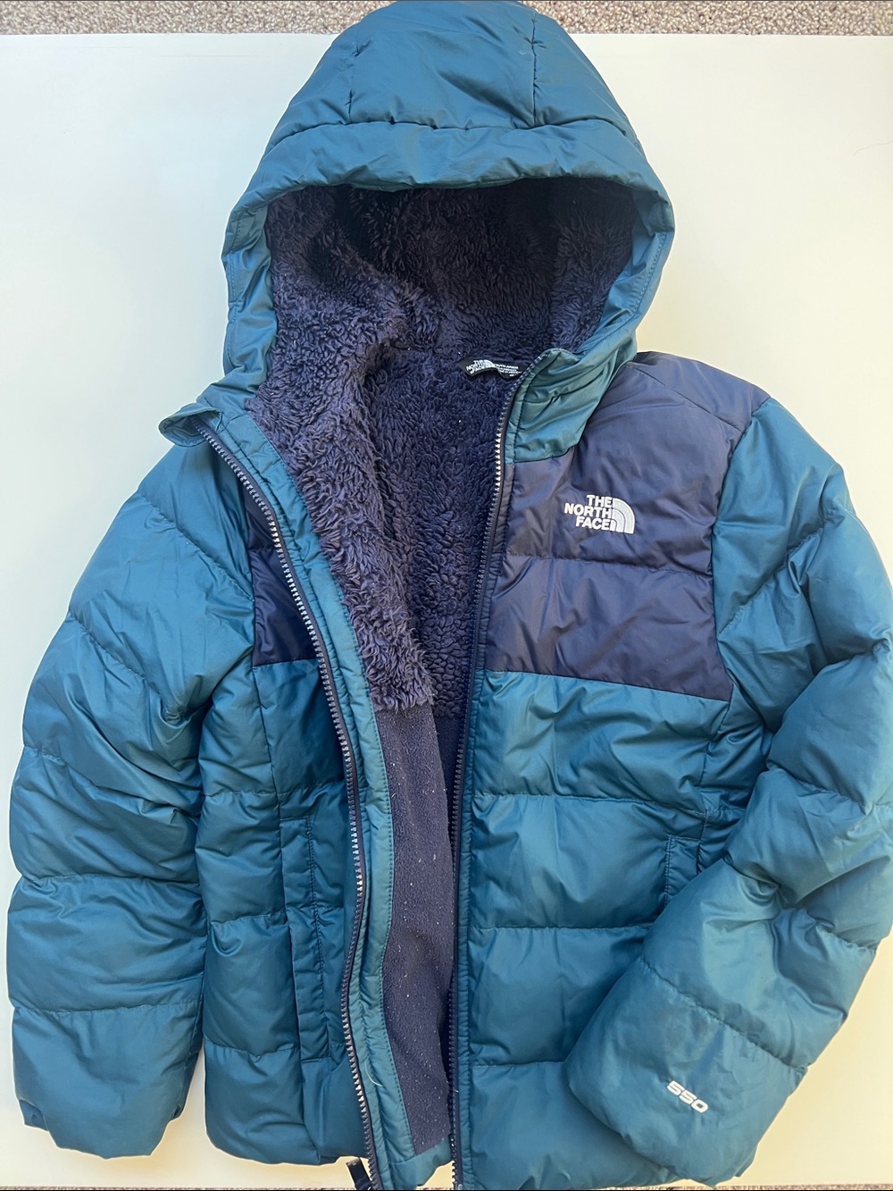 The North Face Boys Winter Jacket